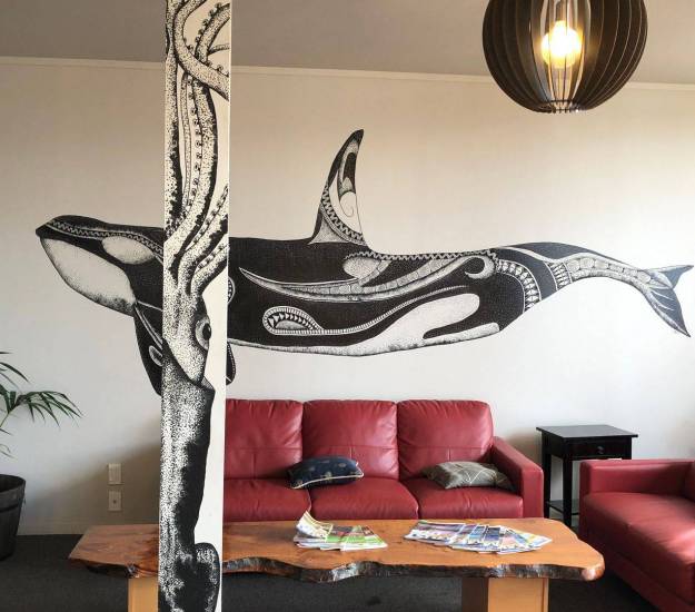 orca-duskylodge-kaikoura