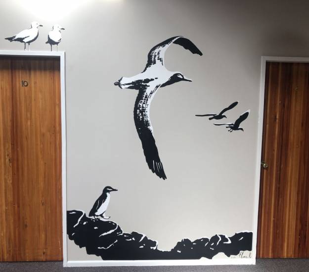 Albatross-Penguin-dusky-kaikoura